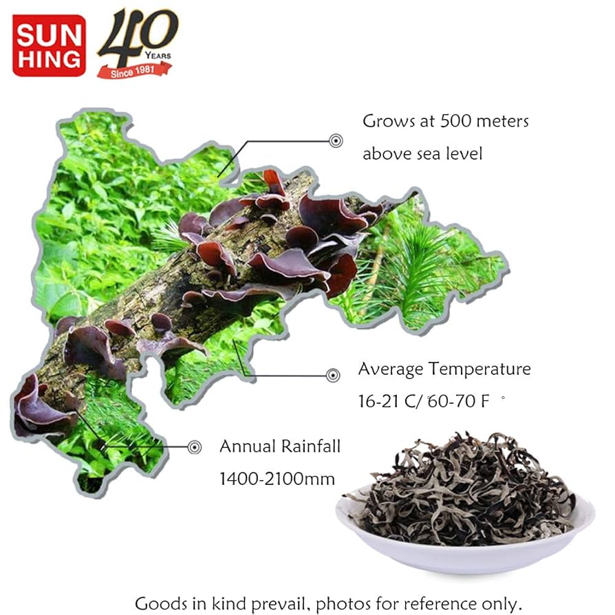 Amazon.com: Fortune Dried Black Fungus Dried Woodear
